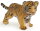 Papo 50021 - Tiger Cub