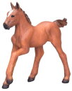 Mojö 381019 - Arabian Foal (Chestnut)