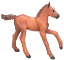 Mojö 381019 - Arabian Foal (Chestnut)