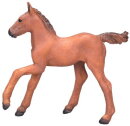 Mojö 381019 - Arabian Foal (Chestnut)