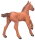 Mojö 381019 - Arabian Foal (Chestnut)