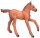 Mojö 381019 - Arabian Foal (Chestnut)