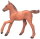 Mojö 381019 - Arabian Foal (Chestnut)