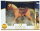 Horses 37167A - Horse with Saddle