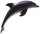 Recur RC16046S - Delfin