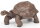 Papo 50161 - Galapagos Riesenschildkröte