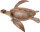 Recur RC16042S - Caretta caretta