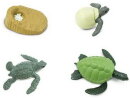 Safari Ltd. 662316 - Life Cycle Of A Green Sea Turtle