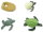 Safari Ltd. 662316 - Life Cycle Of A Green Sea Turtle