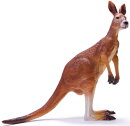 Recur RC16058W - Red Kangaroo (Macropus rufus)