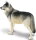 Safari Ltd. 112689 - Grauer Wolf