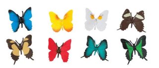 Safari Ltd. Toob® 684504 - Butterflies