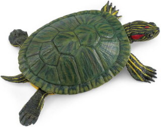 Safari Ltd Realistic Red-Eared Slider Turtle Incredible Creatures Collection 