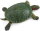 Safari Ltd. 269529 - Rotwangen-Schmuckschildkröte