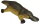 Animals of Australia 75455 - Platypus