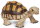 Safari Ltd. 258629 - Tortoise