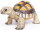 Safari Ltd. 258629 - Tortoise