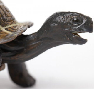 Safari Ltd. Incredible Creatures® 260829 - Junge Galapagos Schildkröte