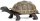 Safari Ltd. 260829 - Galapagos Baby Tortoise