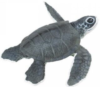 Safari Ltd. Incredible Creatures® 268129 - Junge Meeresschildkröte