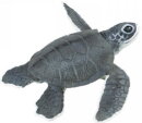 Safari Ltd. 268129 - Junge Meeresschildkröte
