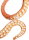 Safari Ltd. 267229 - Pazifische Riesenkrake