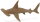 Safari Ltd. 267929 - Junger Hammerhai