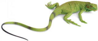 Safari Ltd. 25829 - Iguana Baby