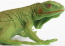 Safari Ltd. 25829 - Iguana Baby