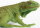 Safari Ltd. 25829 - Iguana Baby