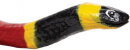 Safari Ltd. 257429 - Coral Snake