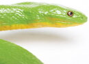 Safari Ltd. 257729 - Rough Green Snake