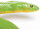 Safari Ltd. 257729 - Rough Green Snake