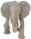 Safari Ltd. 270029 - African Elephant Adult