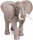 Safari Ltd. Wild Safari® Wildlife 295629 - African Bull Elephant Charging (old version)