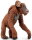 Safari Ltd. 293529 - Orang-Utan mit Baby