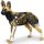 Safari Ltd. 239729 - African Wild Dog