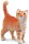 Safari Ltd. 235529 - Orange Tabby Cat