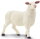 Safari Ltd. 246129 - Ewe