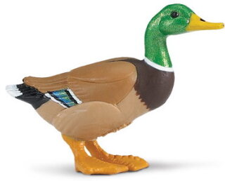 Safari Ltd. 233229 - Duck