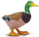 Safari Ltd. 233229 - Duck