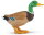 Safari Ltd. 233229 - Duck