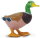 Safari Ltd. 233229 - Duck
