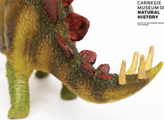 Safari Ltd Carnegie Dinosaurier 411901 - Stegosaurus