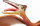 Safari Ltd Carnegie Dinosaurs 411601 - Quetzalcoatlus