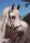 Horse Postcard Lipizzanerhengst Maestoso Medussa