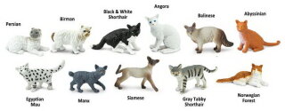 Safari Ltd. Toob® 699204 - Hauskatzen
