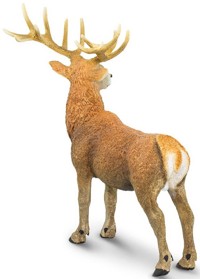 Red Deer Stag Safari Ltd #181929 Woodland Animal Replica 2016 for sale online 