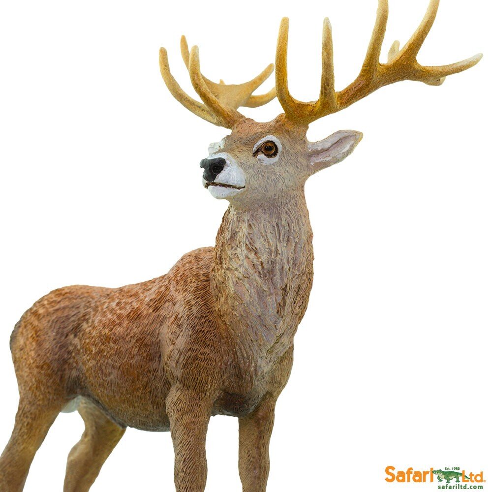 Red Deer Stag Safari Ltd #181929 Woodland Animal Replica 2016 for sale online