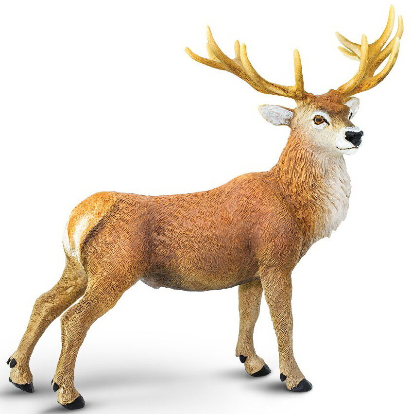 Red Deer Stag Safari Ltd #181929 Woodland Animal Replica 2016 for sale online